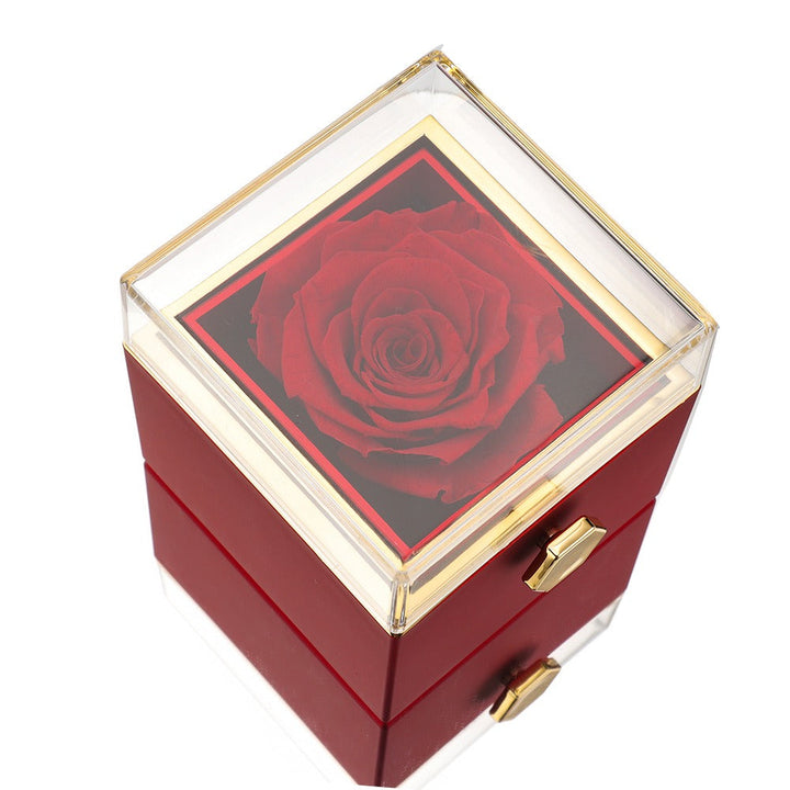Rosa Roja Preservada con Cadena Personalizada